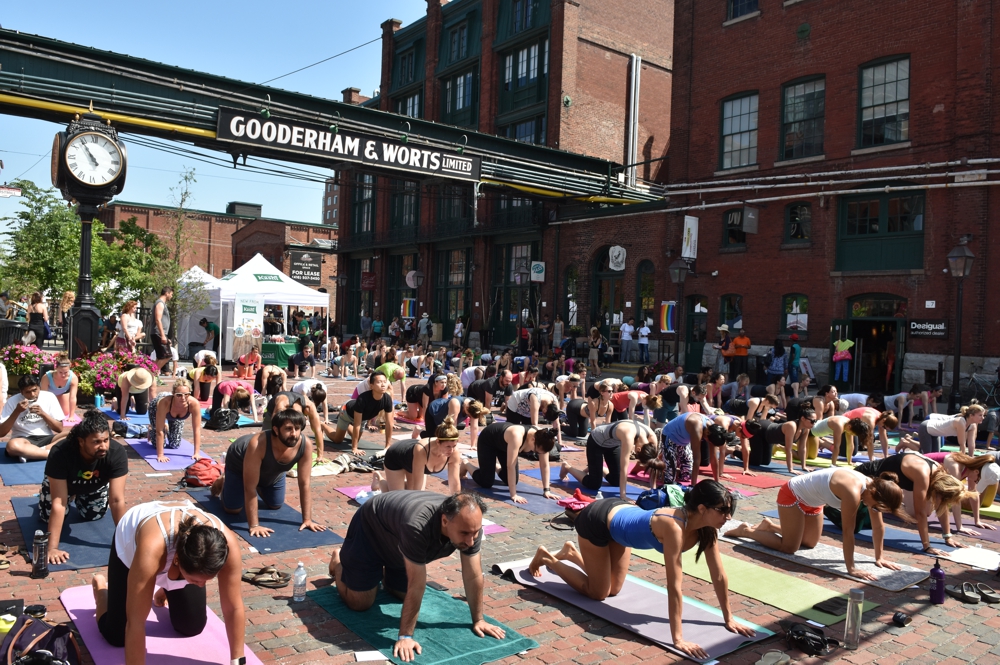 Image result for yoga distillery district